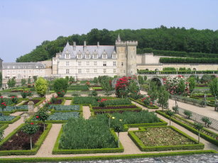 Tuinen bij het kasteel van Villandry