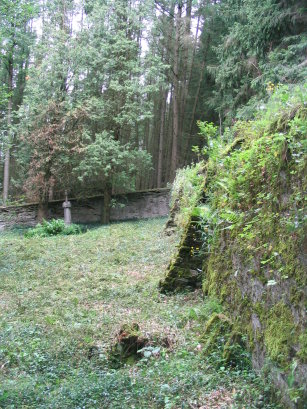 Oude overwoekerde begraafplaats bij Wittimont